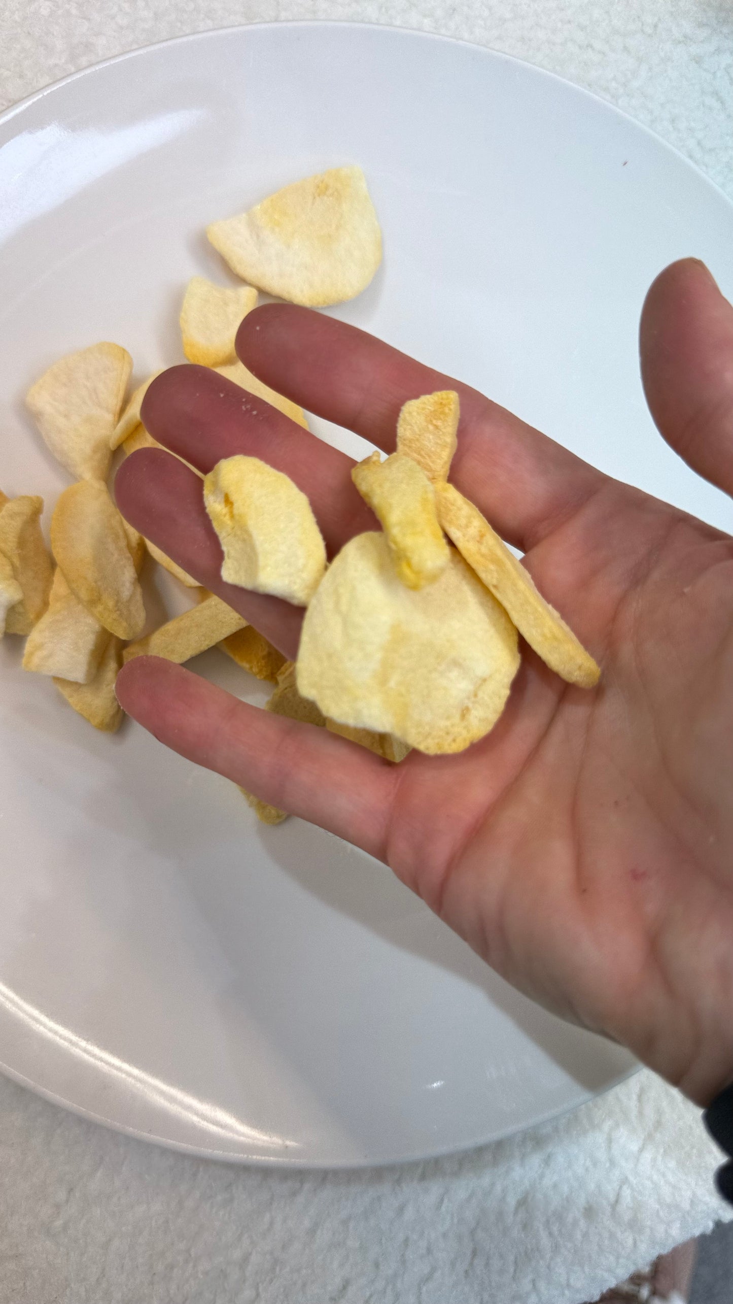 Frystatorkad niktarin 100gram