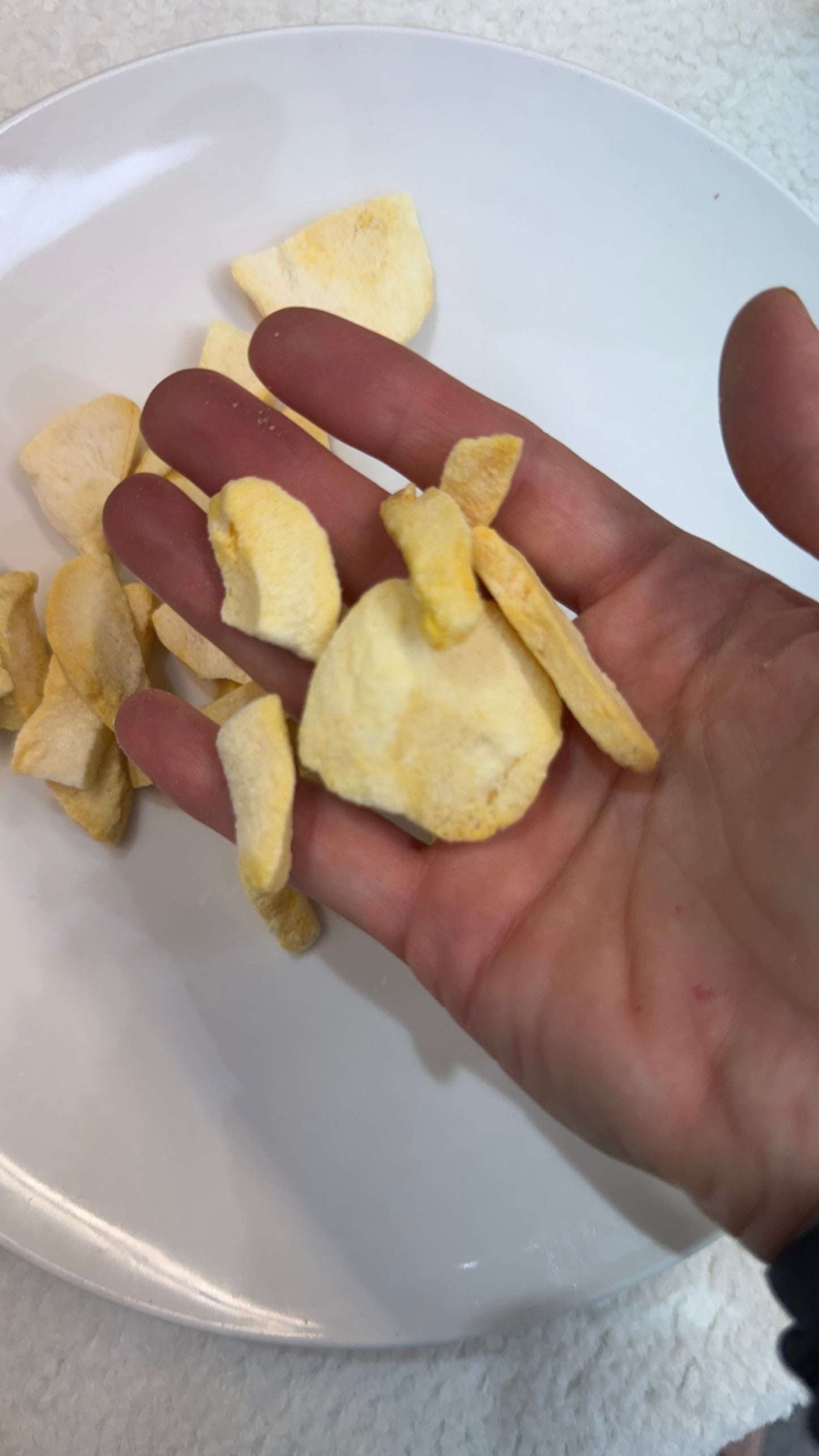 Frystatorkad niktarin 100gram