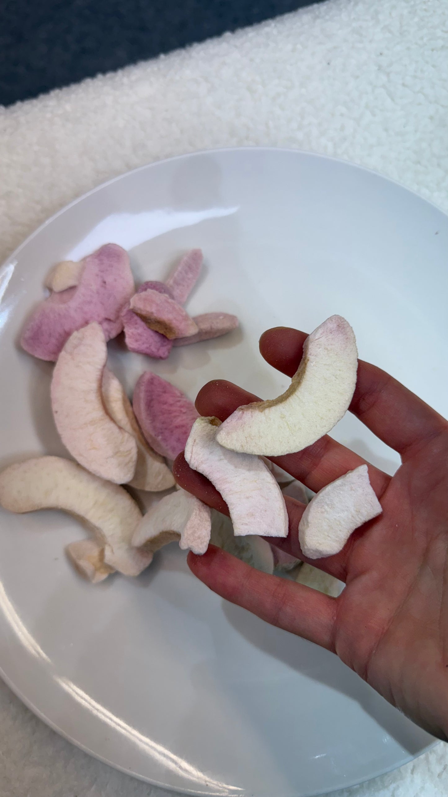 Frystatorkad niktarin 100gram